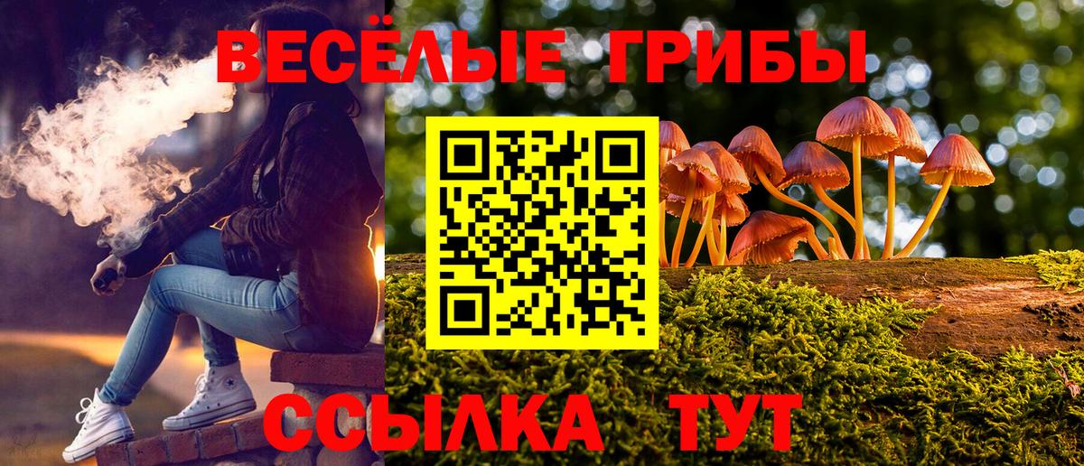 Псилоцибиновые грибы мухоморы  где купить наркоту  Зима  Вход с VPN 