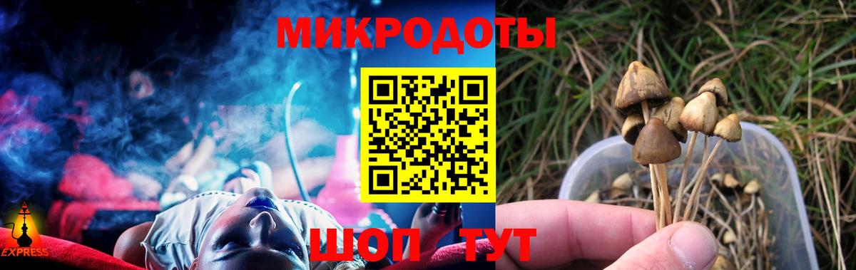 Псилоцибиновые грибы MAGIC MUSHROOMS Зима